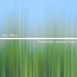 Emergence by Aric Attas