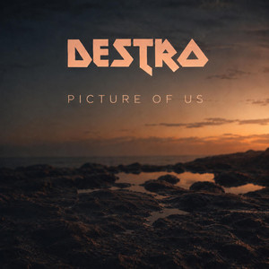 Picture Of Us by Destro
