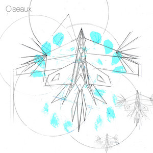 Oiseaux