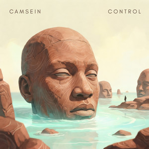 Control by Camsein