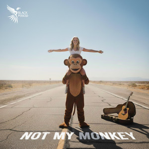 Not My Monkey by Black Period