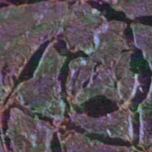 rvtztvx artist photo