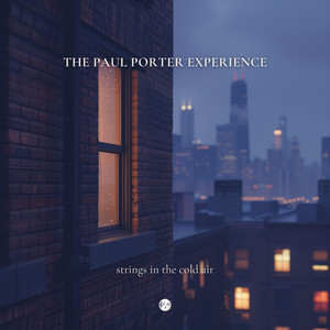 Halsted Street Blues by The Paul Porter Experience