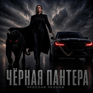 Чёрная пантера by Ярослав Леонов