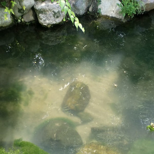 album cover: ambient kyoto
