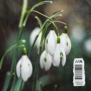Perce-Neige by LEAF.