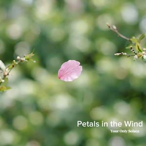 Petals in the Wind by Your Only Solace