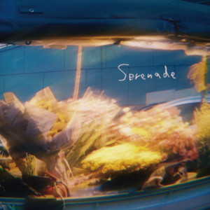 Serenade by 青いガーネット