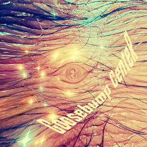 Second Hand Noise - Goosebump Center