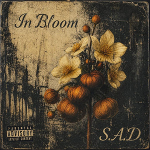 S.A.D by In Bloom