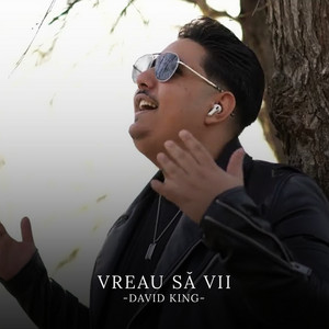 Fratii Turcitu & David King - Vreau să vii