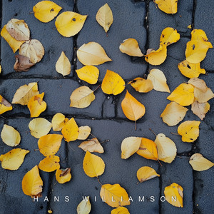 Hans Williamson - Autumn