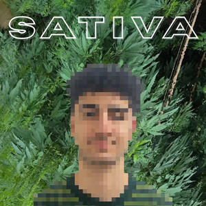 Sativa by Jude