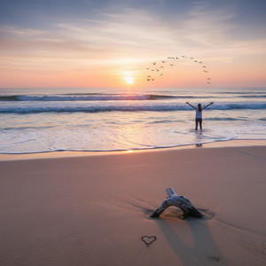 Driftwood Dreams by Zion Wave
