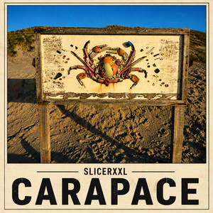 Carapace by SlicerXXL