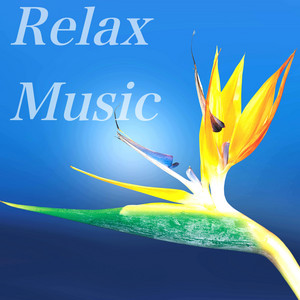 Beautiful Relaxing Atmosphere, Pt. 01