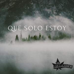 Los Callejeros - Que Solo Estoy (cover)