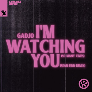 I'm Watching You (So Many Times) [Sean Finn Remix]