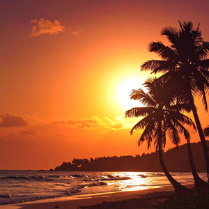 Ricardo Ayt - Você Já Viu Cama