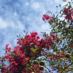 love you forever by Rxseboy, Cold Illumination