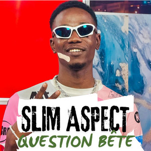 Slim Aspect - Question bête