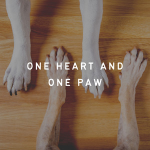 One Place and One Paw