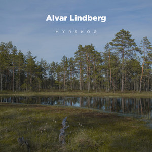 Tallskugga by Alvar Lindberg