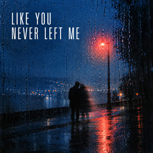 Like You Never Left Me by Lucas Martin