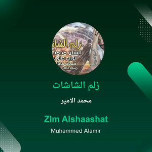 Mohamed Al Ameer - زلم الشاشات