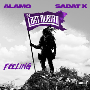 FEELING by ALAMO THE LAST NUBIAN, Sadat X