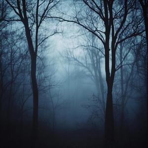 Compassionate by Aurelia Drift