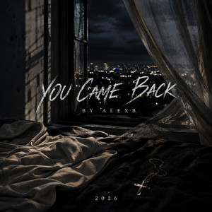 You Came Back by AlexB