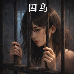囚鸟(女版) by 启鸣乐队