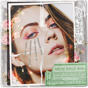 New Salt by Emily Weisband