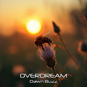 Dawn Buzz