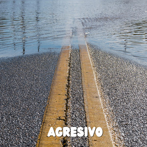 Agresivo by Alga Verde