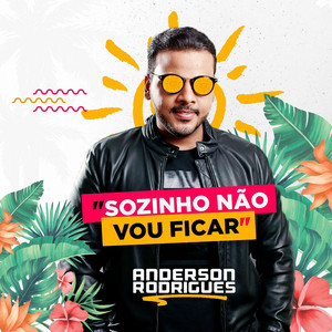 Sozinho Não Vou Ficar