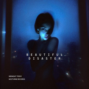 Beautiful Disaster by Midnight Teddy