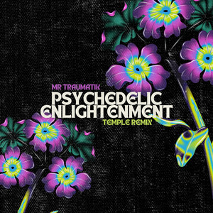 Psychedelic Enlightenment - Temple Remix by Mr Traumatik, Temple
