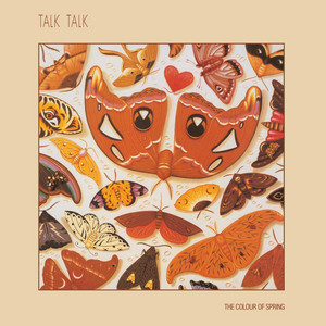 洋楽 Talk Talk - The Colour of Spring SACD Talk Spring 洋楽 of The Colour - Talk SACD