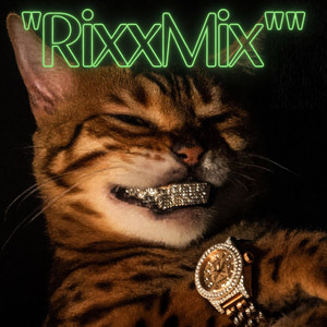 J'ai le blues (Version RixxMix) by RixxMix