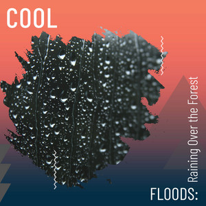 Cool Floods: Raining Over the Forest album
