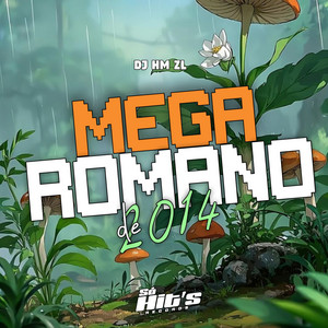 DJ HM ZL - Mega Romano de 2014