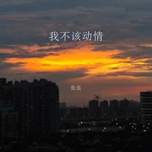 我不该动情 by 张良