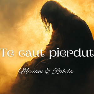 Te caut pierdut by Dragusin Rahela si Catalin
