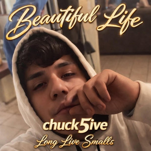 Beautiful Life by Chuck5ive, Steevo