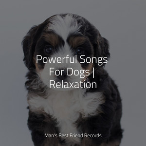 Powerful Songs For Dogs | Relaxation album