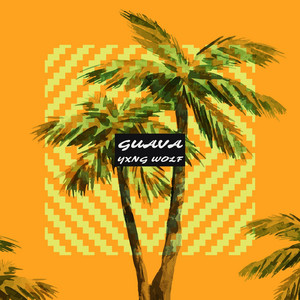Portada de Guava