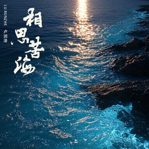 琵琶行（相思苦海） by 卢润泽