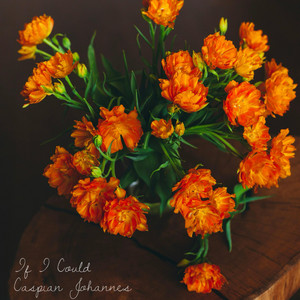 If I Could by Caspian Johannes